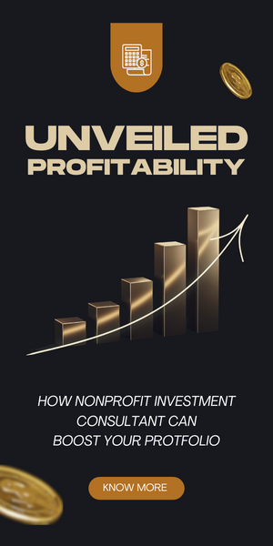 nonprofit investment consultant