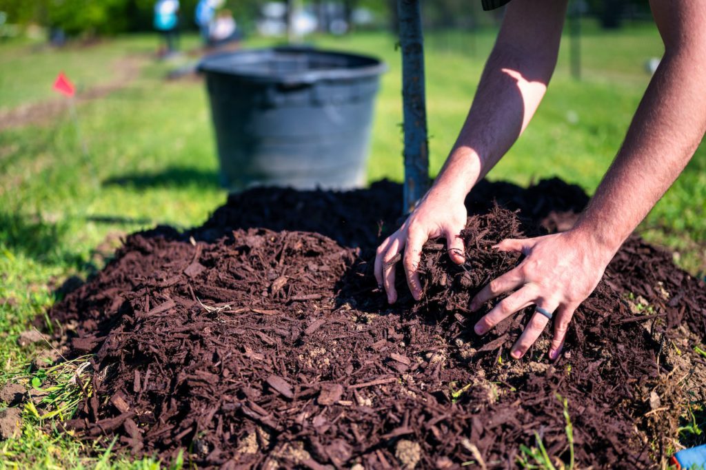 Unveiling the Wonders of Soft Fall Mulch